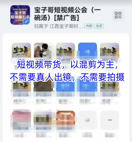 宝子哥头部团队短视频带货，以混剪为主，不需要真人出镜，不需要拍摄【更新11月】-小辉云网创