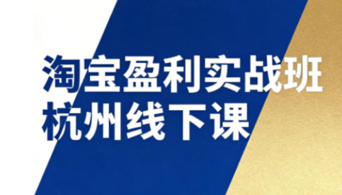 淘宝盈利实战班杭州线下课12月26-28日(音频+字幕)，帮你掌握SOP流程+12门核心技术-小辉云网创