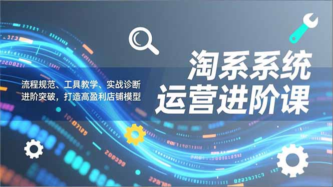 淘系系统运营进阶课2.0，流程规范、工具教学、实战诊断，进阶突破，打造高盈利店铺模型-小辉云网创