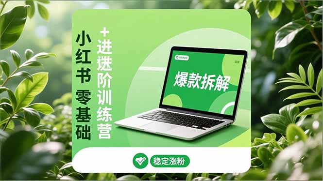 小红书零基础+高阶训练营：安全养号、爆款拆解、长效运营，实现稳定涨粉与变现-小辉云网创