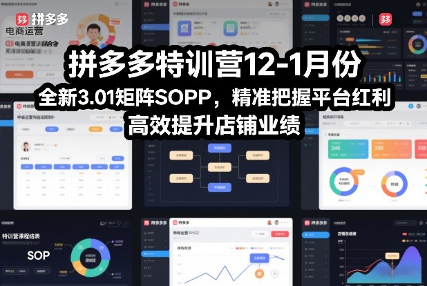 拼多多特训营12-1月份，全新3.01矩阵Sop，精准把握平台红利，高效提升店铺业绩-小辉云网创