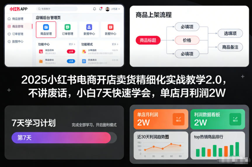 2025小红书电商开店卖货精细化实战教学2.0，不讲废话，小白7天快速学会，单店月利润2W-小辉云网创