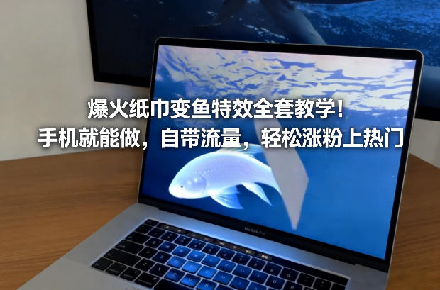 爆火纸巾变鱼特效全套教学!手机就能做,自带流量,轻松涨粉上热门-小辉云网创