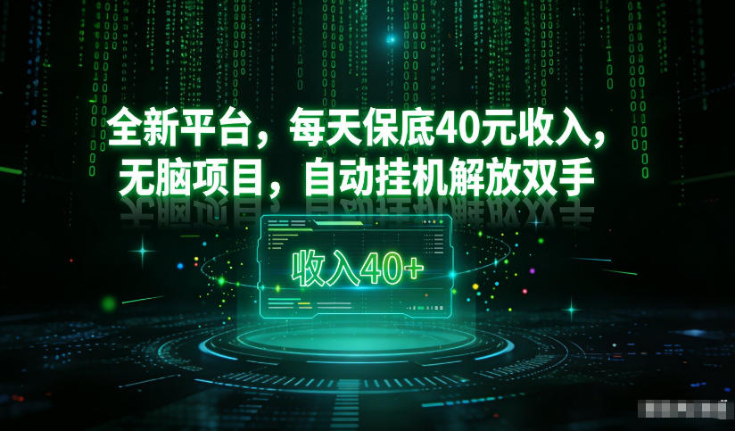 最新看广平台，每天保底30-4米，无脑项目，自动挂G解放双手【揭秘】-小辉云网创