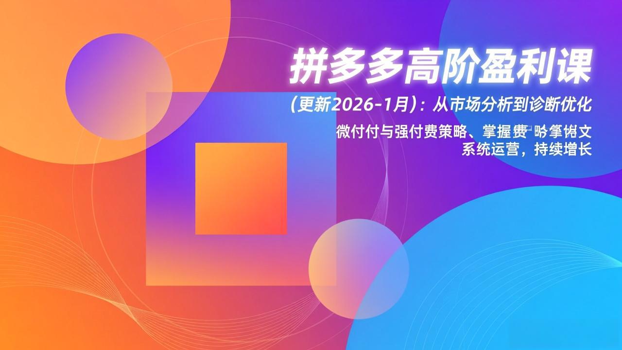 拼多多高阶盈利课(更新2026-1月-小辉云网创