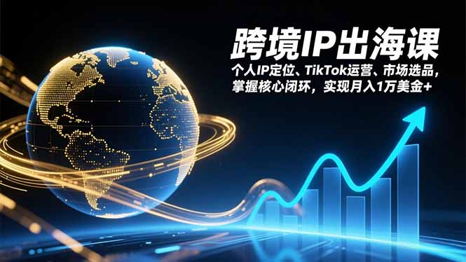 跨境IP出海课，个人IP定位、TikTok运营、市场选品，掌握核心闭环，实现月入1万美金+-小辉云网创