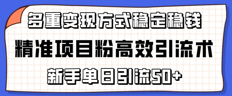 精准项目粉高效引流术，新手单日引流50+，多重变现方式稳定赚钱-小辉云网创