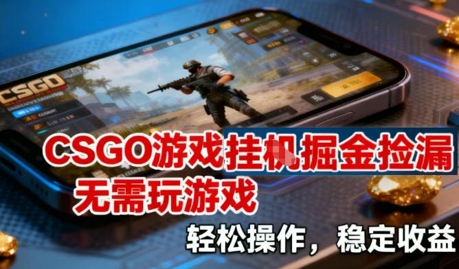 CSGO游戏挂G掘金捡漏，不需要玩游戏，操作简单，收益稳定【揭秘】-小辉云网创