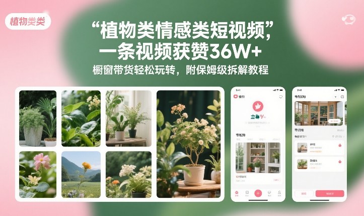 植物类情感类短视频，一条视频获赞36W+，橱窗带货轻松玩转，附保姆级拆解教程-小辉云网创