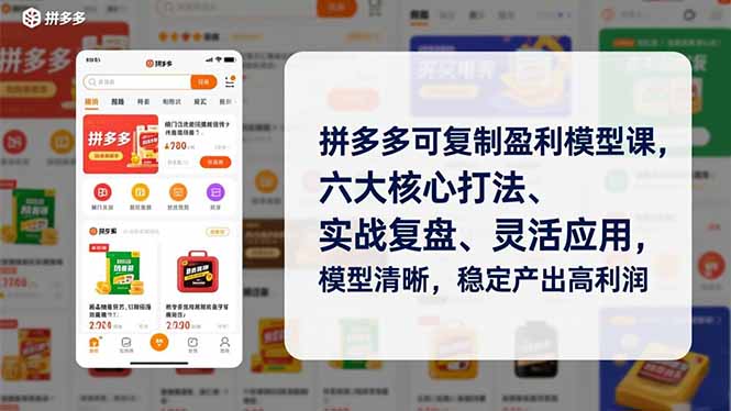 拼多多可复制盈利模型课,六大核心打法、实战复盘、灵活应用,模型清晰,稳定产出高利润-小辉云网创