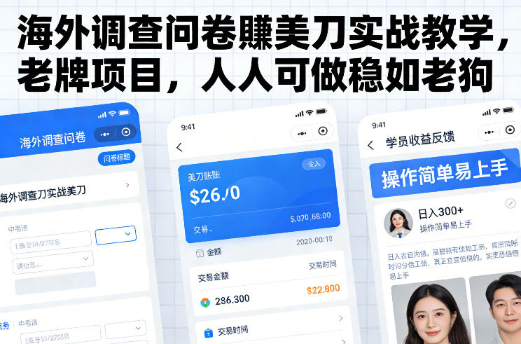 海外调查问卷賺美刀实战教学,老牌项目,人人可做稳如老狗-小辉云网创