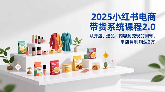 2025小红书电商带货系统课程2.0，从开店、选品、内容到变现的闭环，单店月利润达2万-小辉云网创