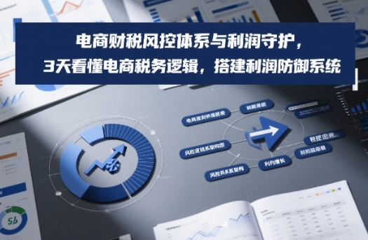 电商财税风控体系与利润守护，3天看懂电商税务逻辑，搭建利润防御系统-小辉云网创