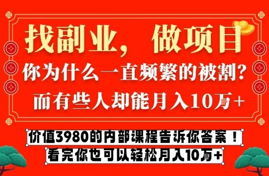 价值3980的网创内部课程，告诉你互联网创业月入10个W的秘密【揭秘】-小辉云网创