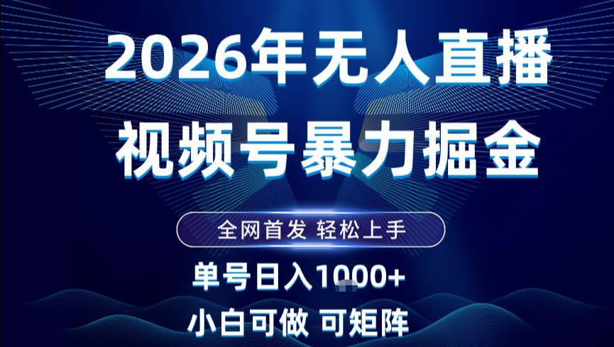 2026最新视频号无人直播掘金，全网首发，小白可以玩，长期稳定日入1k+【揭秘】-小辉云网创