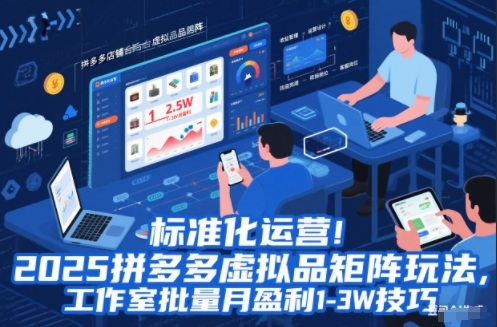 标准化运营！2025拼多多虚拟品矩阵玩法，工作室批量月盈利1-3W技巧【揭秘】-小辉云网创