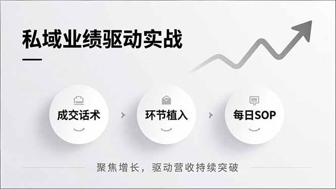 私域业绩驱动实战，成交话术、环节植入、每日SOP，聚焦增长，驱动营收持续突破-小辉云网创