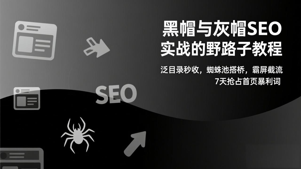 黑帽与灰帽SEO实战的野路子教程：泛目录秒收，蜘蛛池搭桥，霸屏截流，7天抢占首页暴利词-小辉云网创