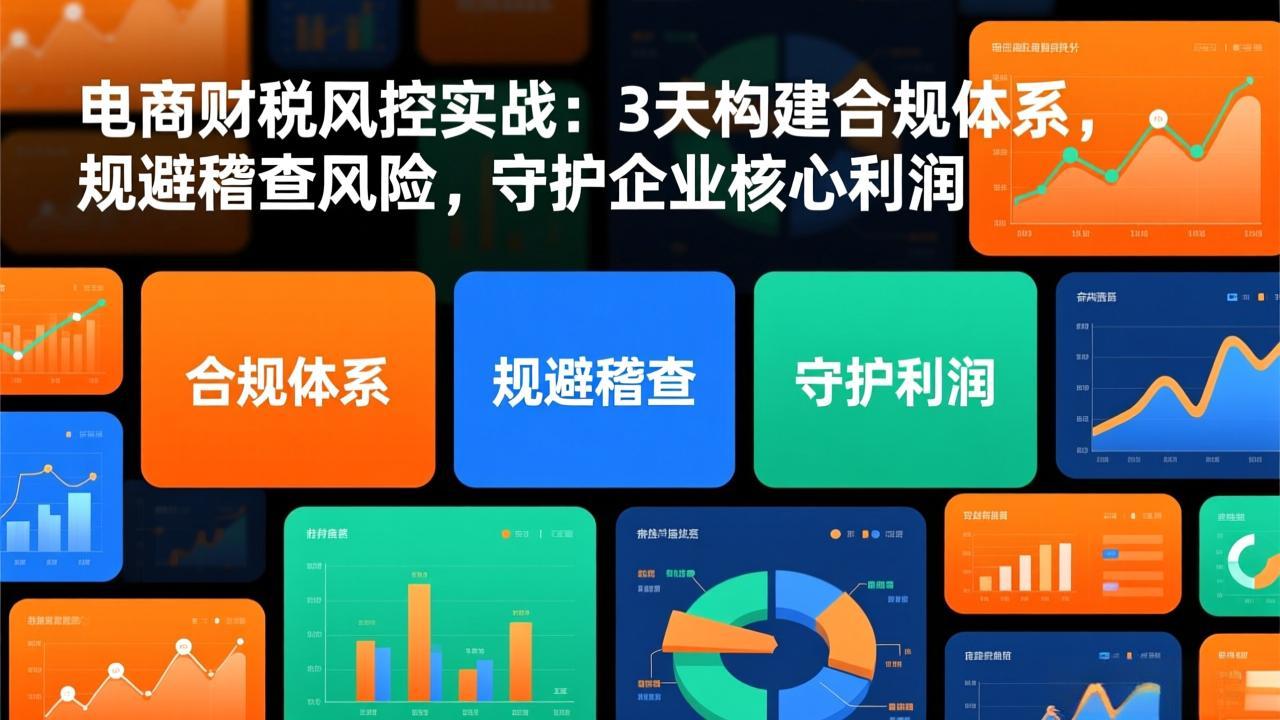 电商财税风控实战：3天构建合规体系，规避稽查风险，守护企业核心利润-小辉云网创