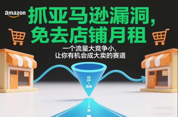 抓亚马逊漏洞，免去店铺月租，一个流量大竞争小，让你有机会成大卖的赛道-小辉云网创