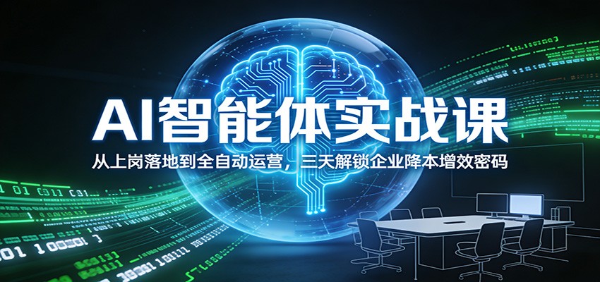 AI智能体实战课：从上岗落地到全自动运营，三天解锁企业降本增效密码-小辉云网创