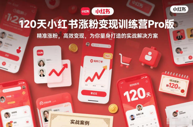 120天小红书涨粉变现训练营Pro版，精准涨粉，高效变现，为你量身打造的实战解决方案-小辉云网创